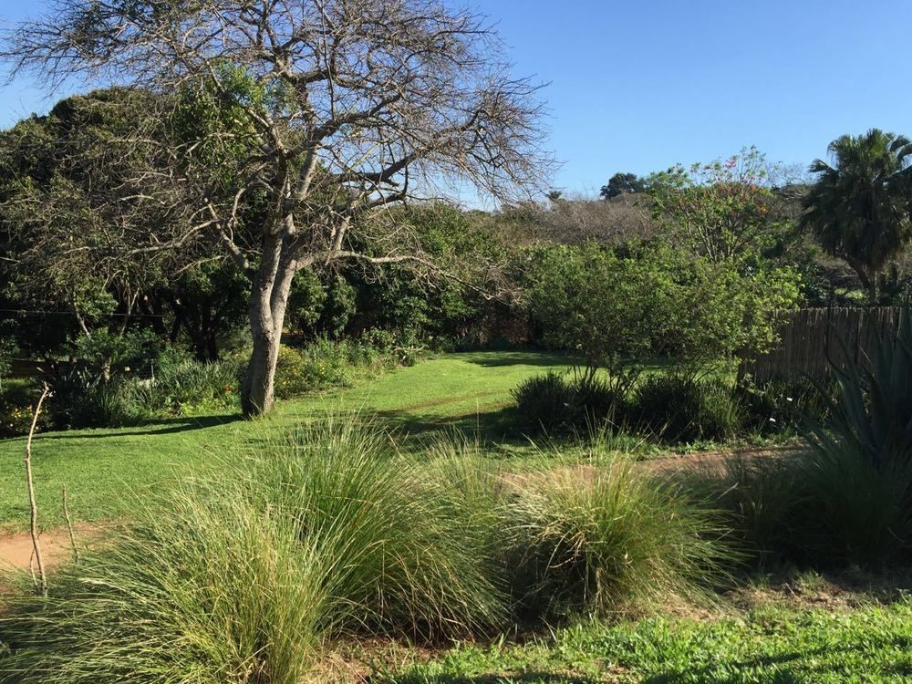 Ngoye Lodge Mtunzini Kültér fotó